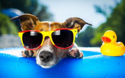 Sunwear is Good Eye Health Care: Six reasons you should wear sunglasses more often.