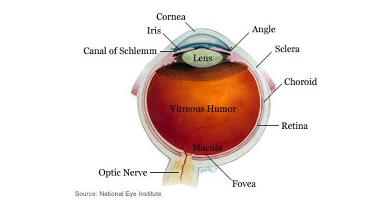 save vision 1 adult pediatric eyecare local eye doctor near you